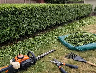 Bush Trimming & Removal — Kingstone Landscaping Georgia