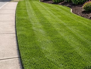 Edging — Kingstone Landscaping Georgia