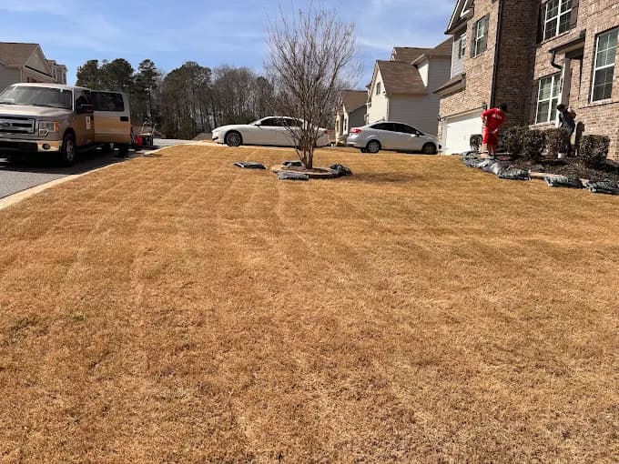 Spring mulch installation and lawn care project